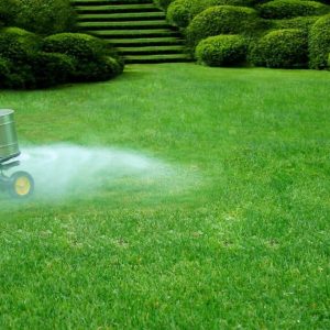 Lawn Fertilization