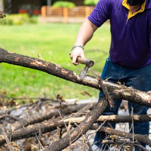 Debris Clearing