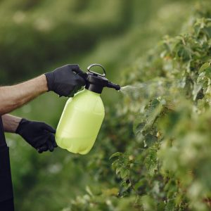 Weed Control