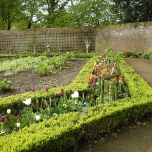 Garden Beds & Borders