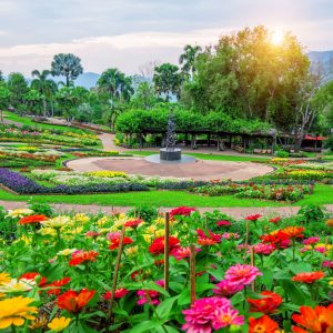 Garden Design