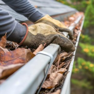 Gutter Clearing