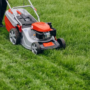 Regular Mowing