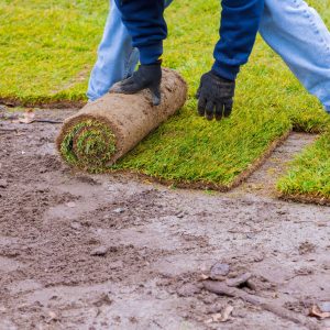 Turf Laying