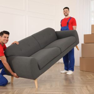 Furniture & Appliance Removal