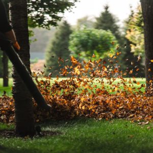 Debris Removal